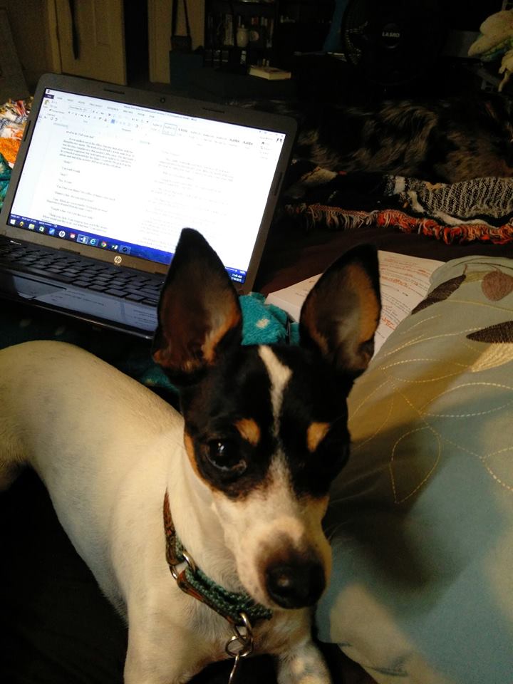 Roxy helps me edit